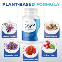 Nervovive Marshmallow Root displaying gentle nerve nourishment.