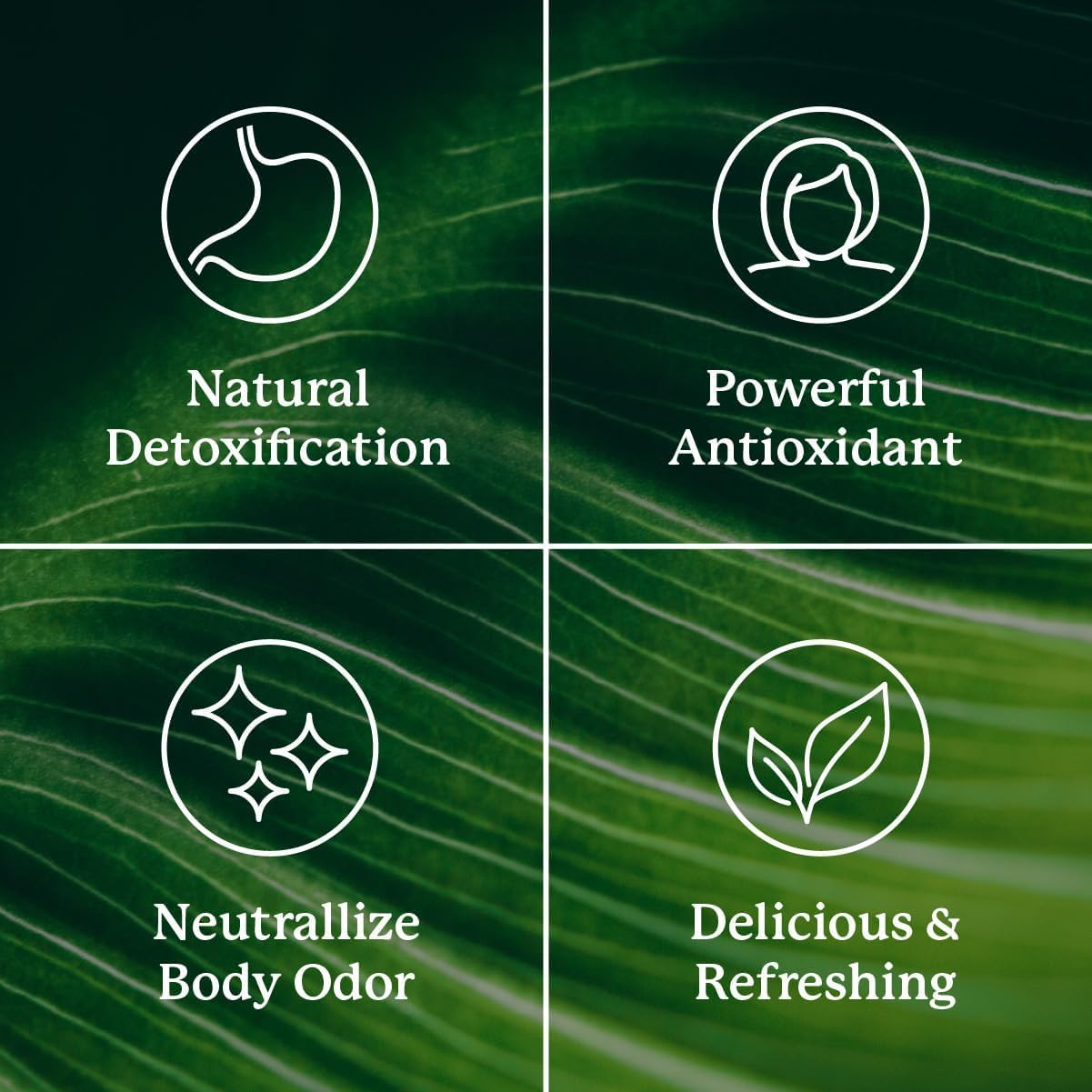 Nature's Sunshine chlorophyll sticks on the go for convenient daily use.