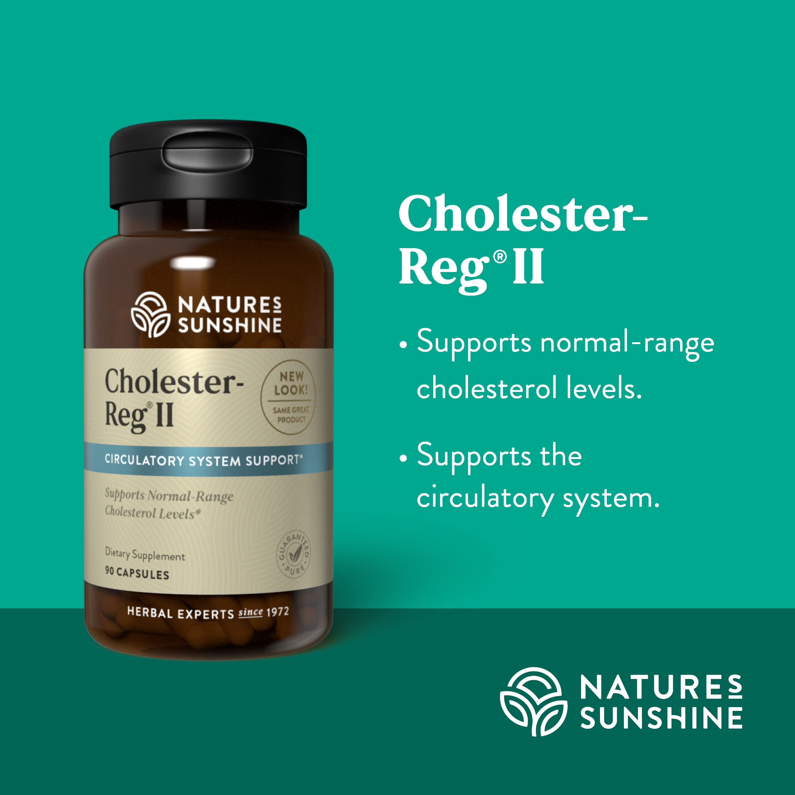 Nature's Sunshine Cholester-Reg II artichoke leaves detail of herbal formula.