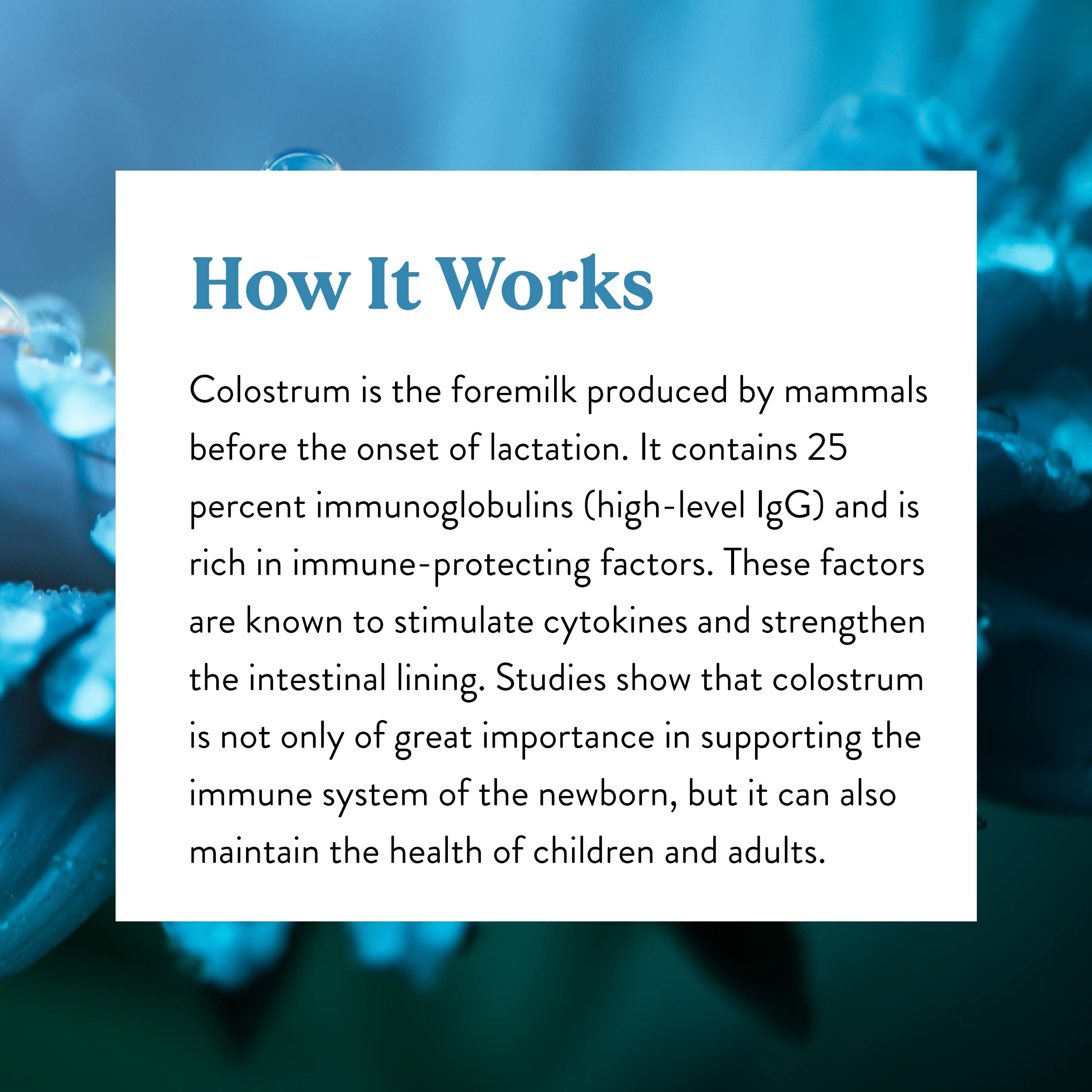 Nature's Sunshine Colostrum digestive health graphic emphasizes gut lining protection