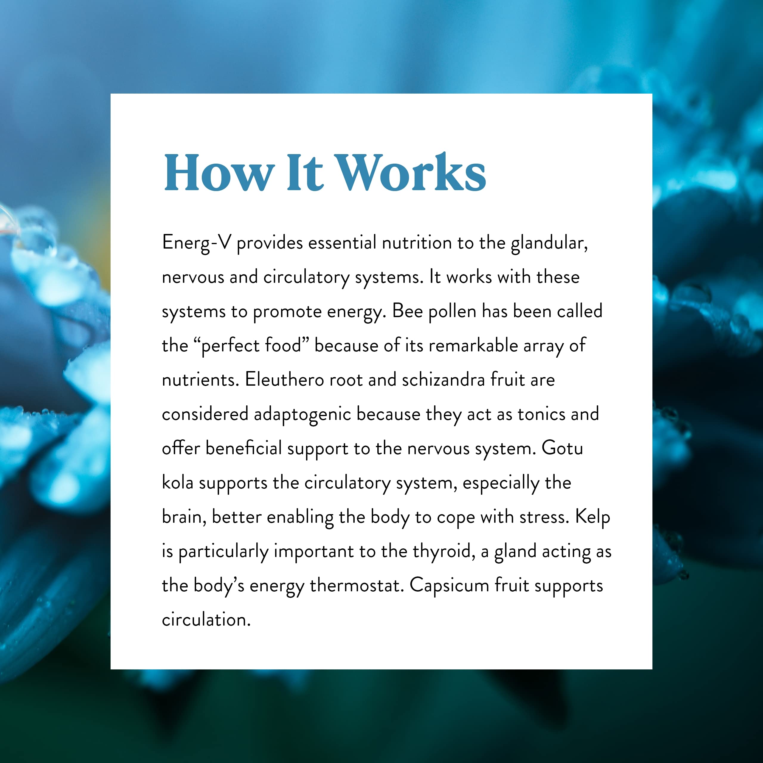 Nature's Sunshine Energ-V packaging box communicates benefits without medical claims.