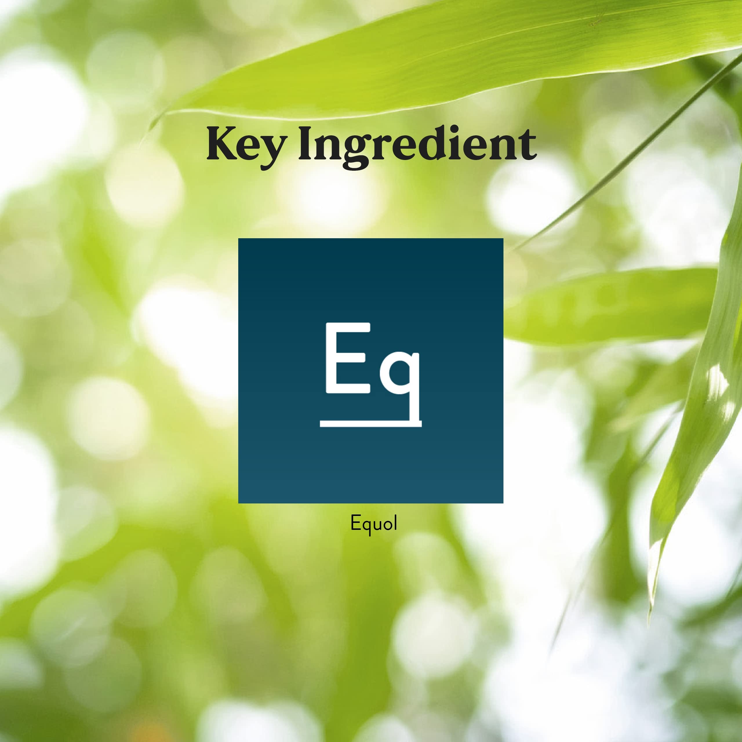 Calendar-style setup showing twice-daily dosing with Equolibrium bottle