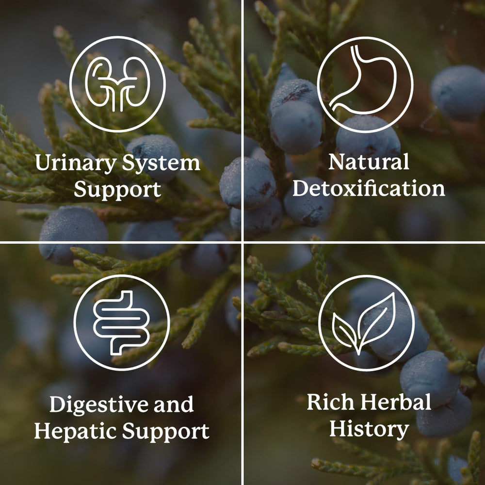 Nature's Sunshine Kidney Activator ingredients label lists juniper and uva ursi