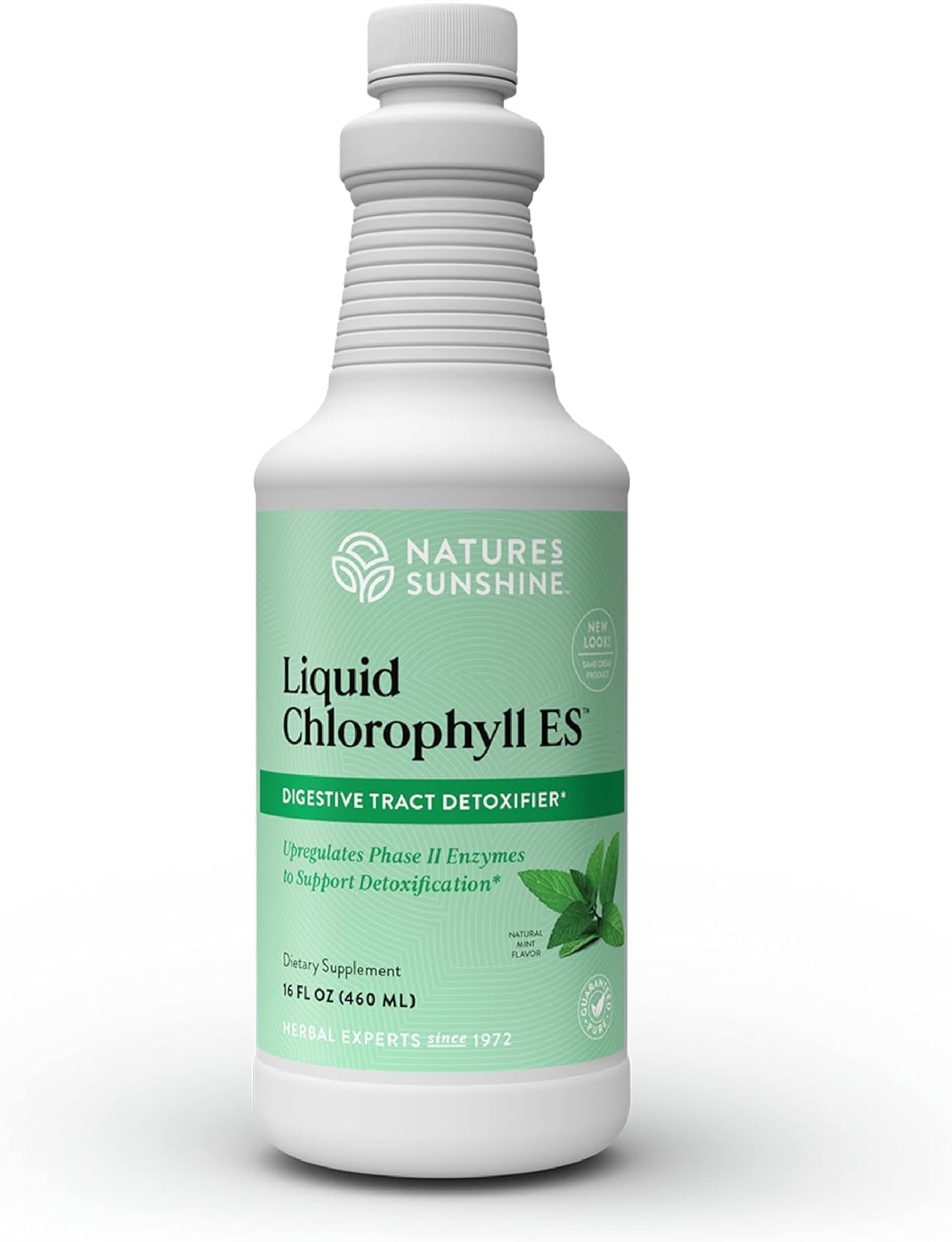 Nature's Sunshine Liquid Chlorophyll bottle pour for easy daily use