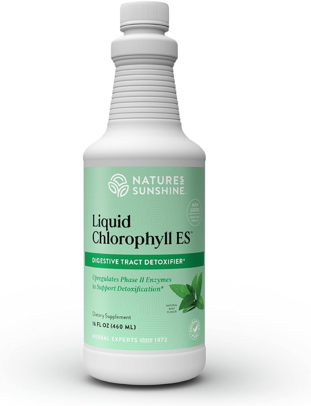Nature's Sunshine Liquid Chlorophyll bottle pour for easy daily use