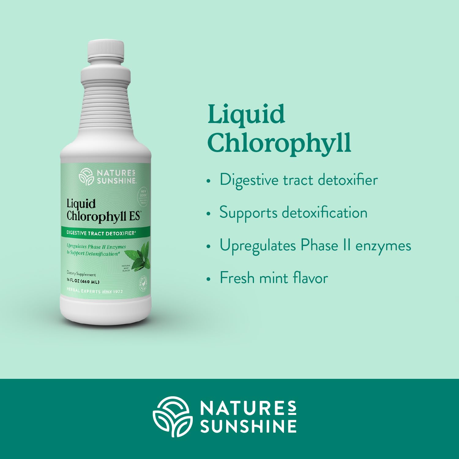 Spearmint oil bottle adds refreshing flavor to the chlorophyll blend