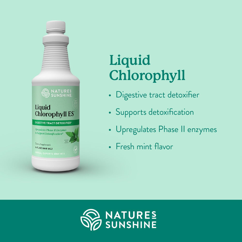 Spearmint oil bottle adds refreshing flavor to the chlorophyll blend