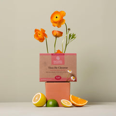 Nature's Sunshine Tiao He Cleanse capsules, convenient daily supplement promoting digestive comfort and energy.