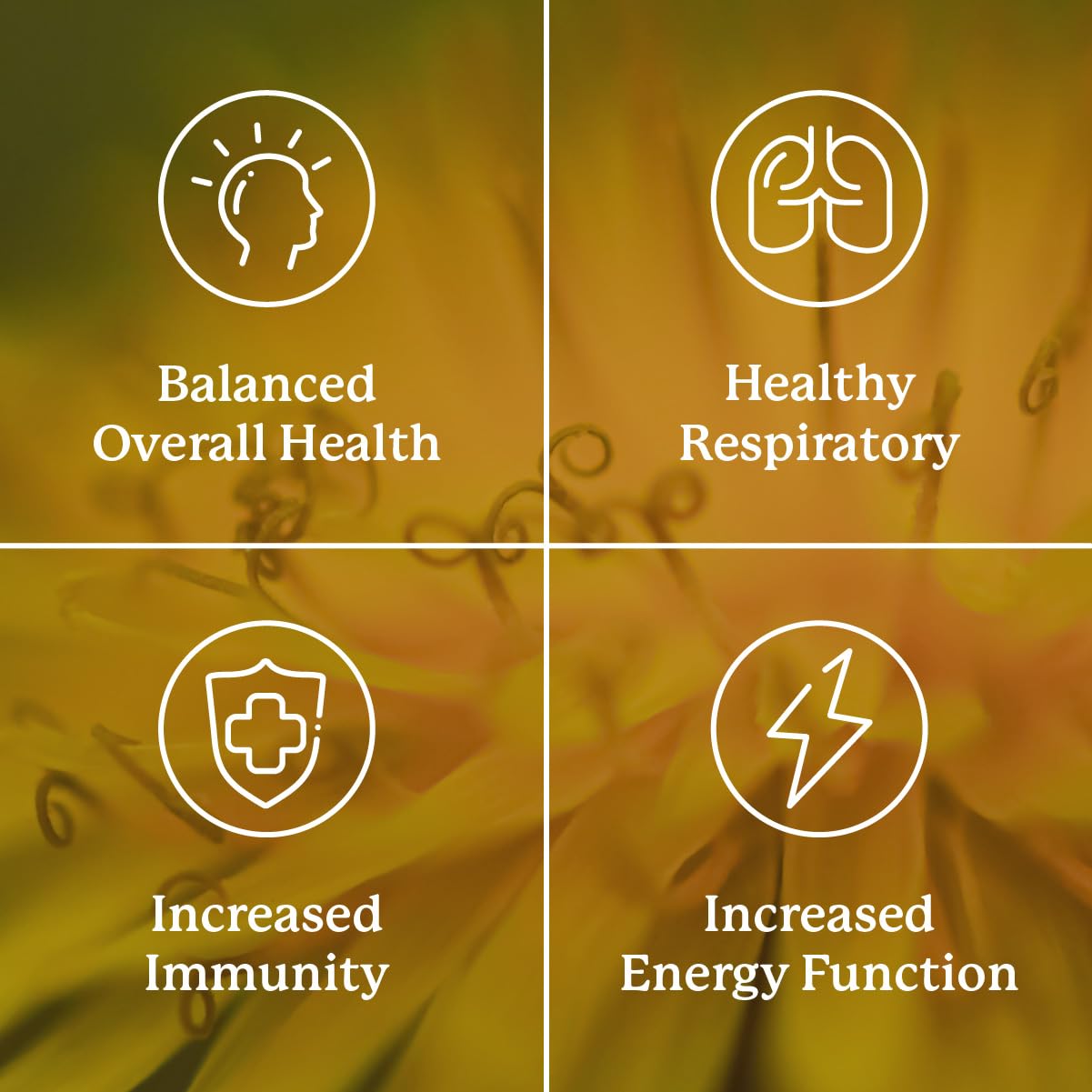 Packaged Nature's Sunshine VS-C TCM Concentrate noting manufacturing origin in the USA.