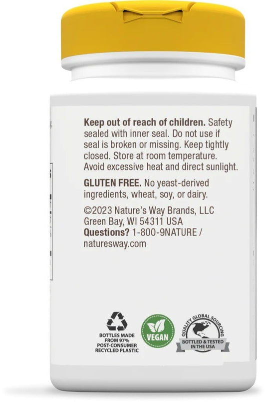 Nature's Way Choline 500 mg tablets in a 100-tablet bottle