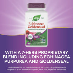 Nature's Way Echinacea Goldenseal seven-herb blend illustration.
