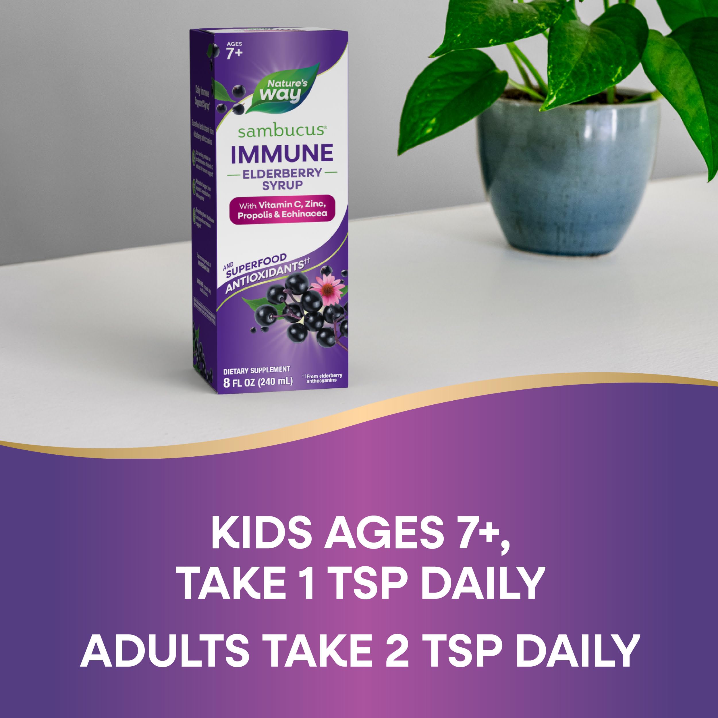 Nature's Way Sambucus Immune Elderberry Syrup with elderberry extract highlighted as antioxidant-rich.