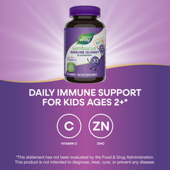 Label panel highlights elderberry extract for antioxidant support in Nature's Way Sambucus Kids Gummies.