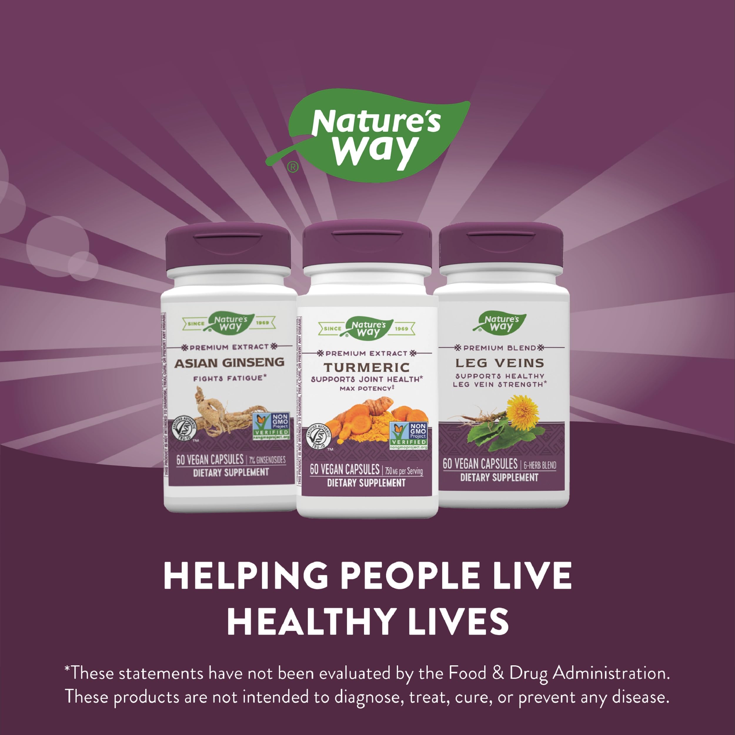 Nature's Way Turmeric Max Potency pack of two implies value for ongoing wellness