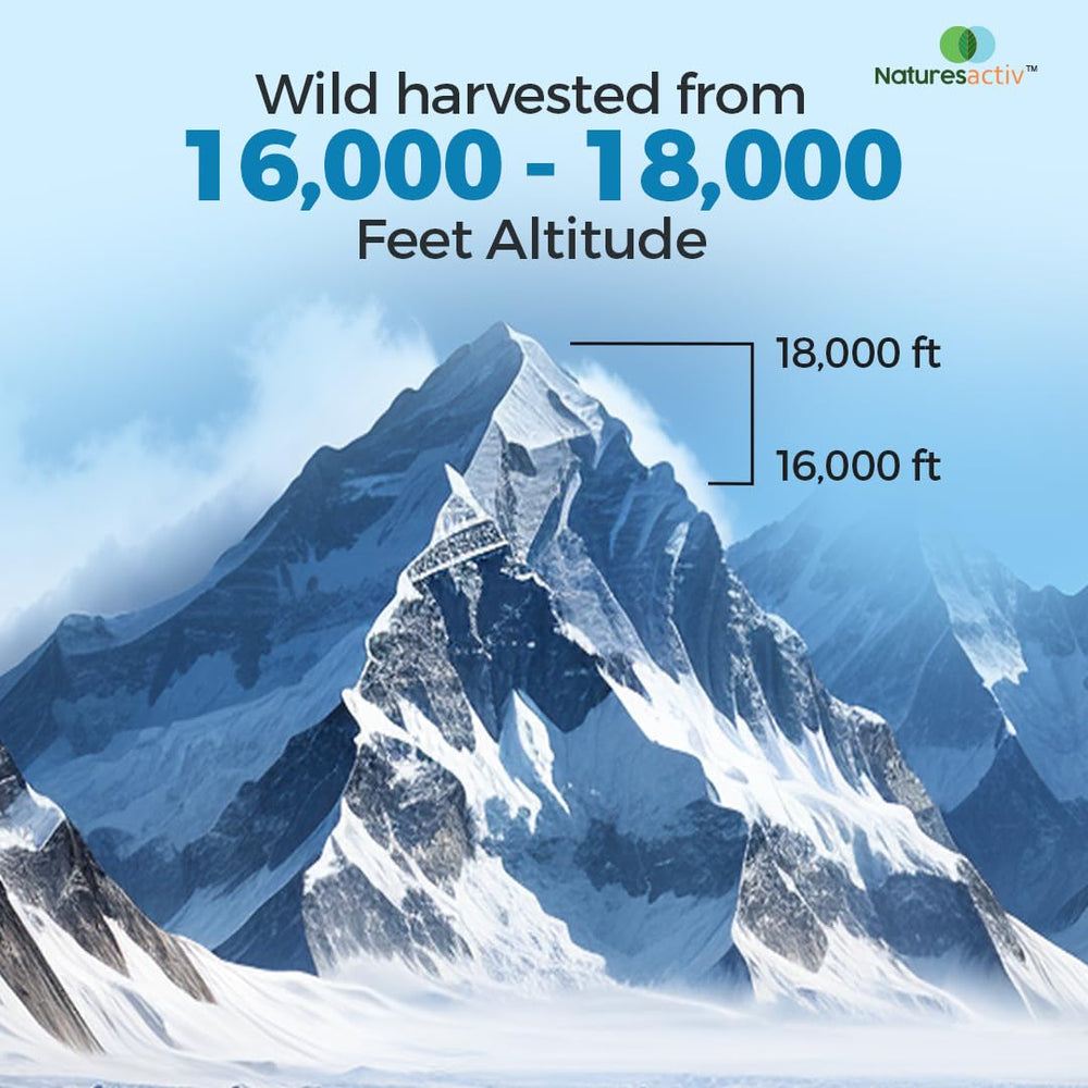 Lab-tested Naturesactiv Shilajit Resin confirms quality and safety standards.