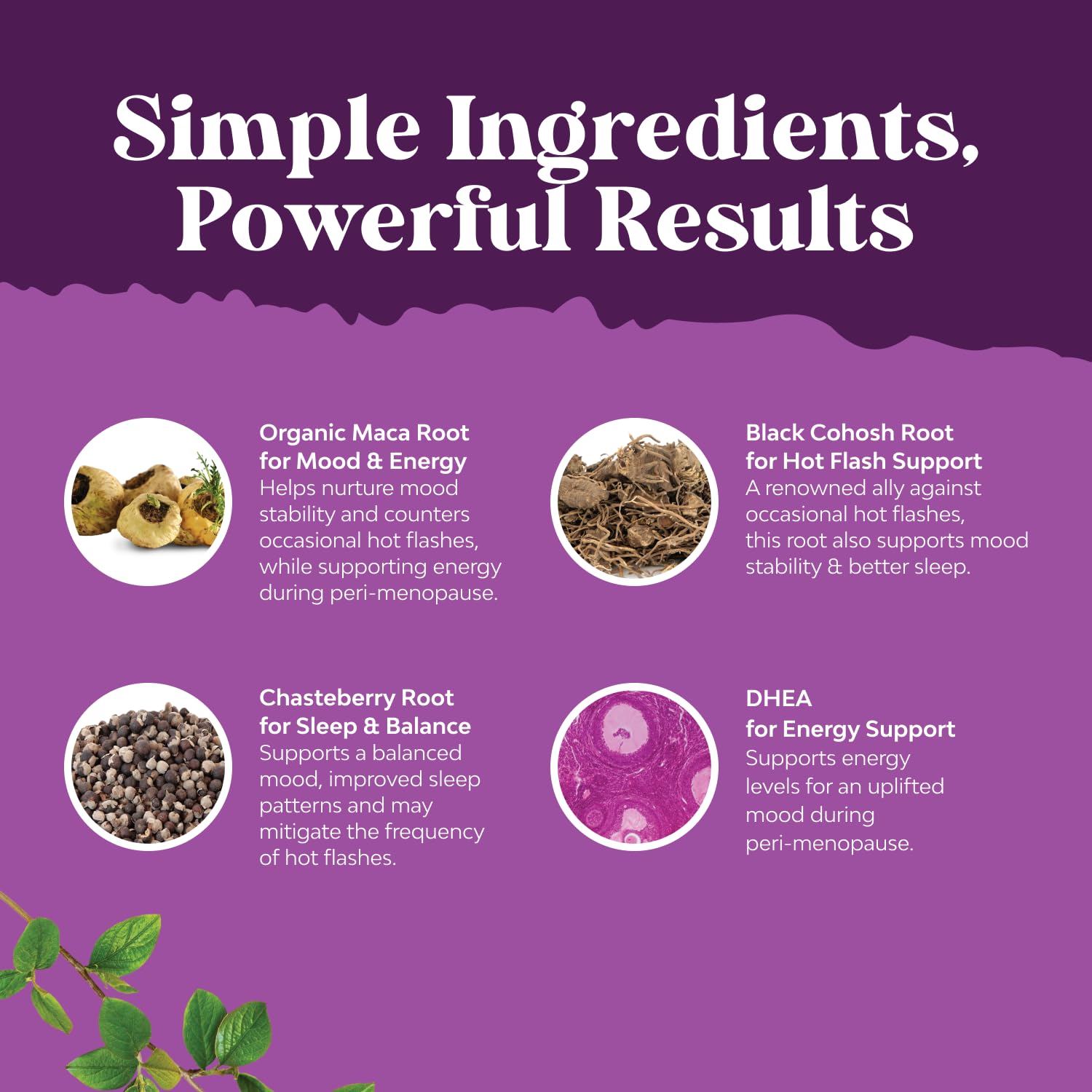 Natures Craft Hot Flashes Scene suggests potential relief through this supplement.