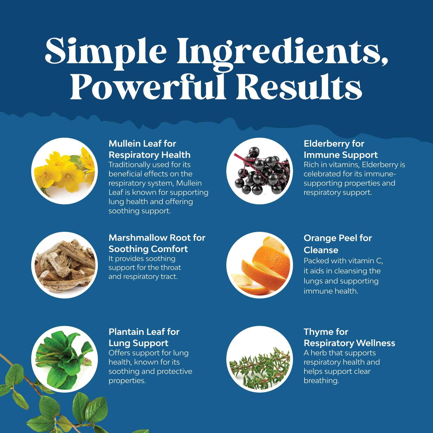 Natures Craft Mullein Drops in daily wellness routine scene for lung support
