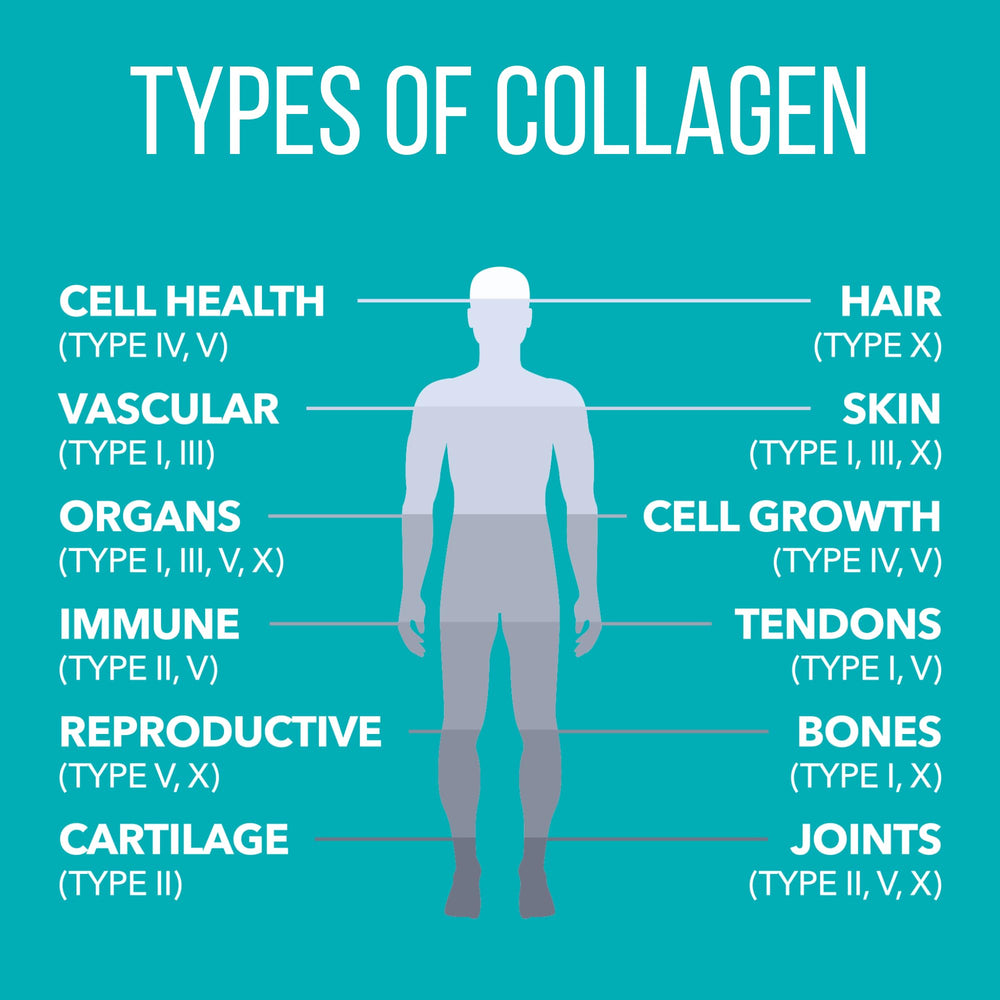 NaturesPlus Collagen Peptides Vanilla in liquid mixes easily for beverages.