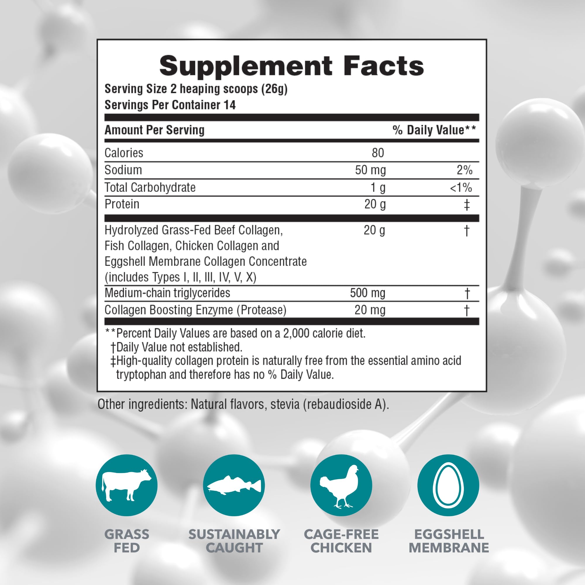 NaturesPlus Collagen Peptides Vanilla being stirred for easy mixing in drinks.