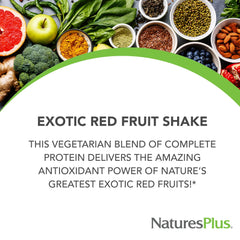 Close-up of acai, mangosteen, pomegranate, and goji highlights exotic fruit nutrition