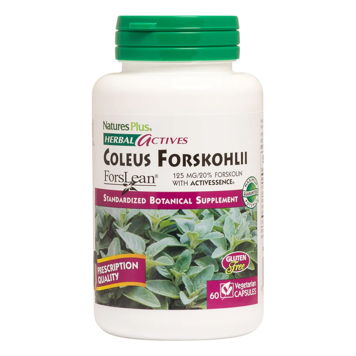 NaturesPlus Herbal Actives Coleus Forskohlii bottle shows 125 mg potency and 20% forskolin