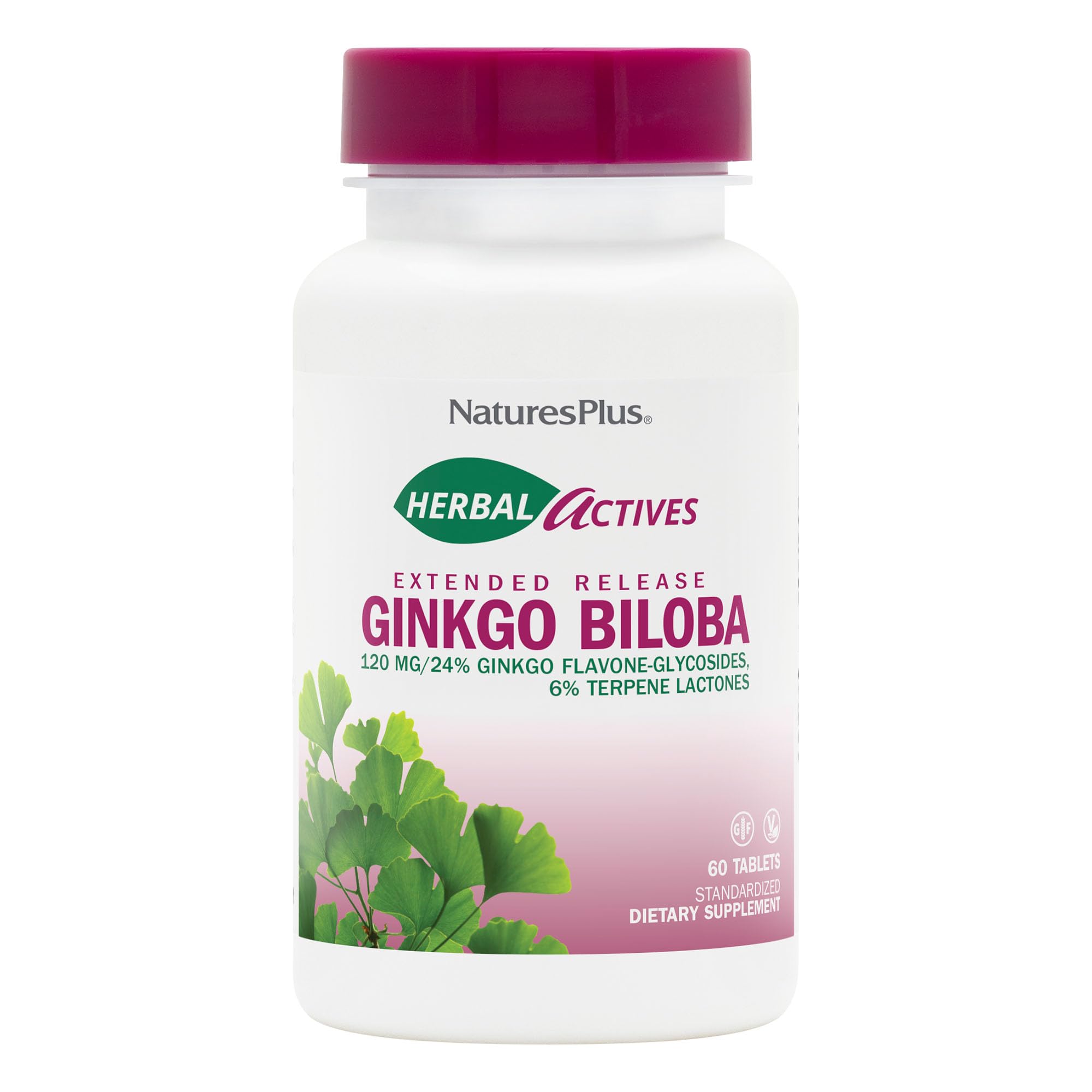 NaturesPlus Herbal Actives Ginkgo Biloba tablet with extended-release for steady daily support.