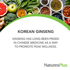 Close-up of NaturesPlus Herbal Actives Korean Ginseng tablet highlights extended-release texture.