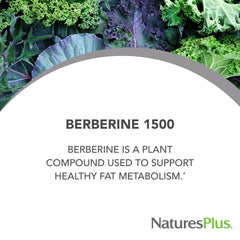 NaturesPlus PRO Berberine bottle on kitchen counter for daily use.