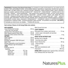 NaturesPlus Source of Life Energy Shake creamy granola morning routine setup for busy days