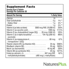 NaturesPlus Source of Life No Iron Mini-Tabs ingredient blend close-up showcases whole-food concentrates