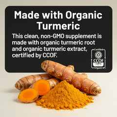 NatureWise Curcumin Turmeric capsules closeup highlights 500mg curcuminoids per serving.