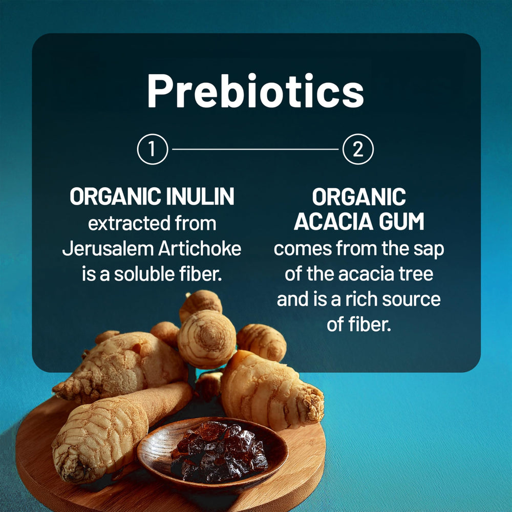 USA-made NatureWise probiotic manufacturing facility