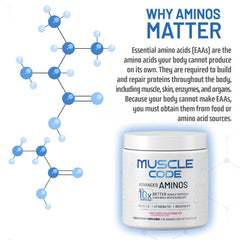 Natural Mixed Berry flavor profile of NAUTILUS Muscle Code