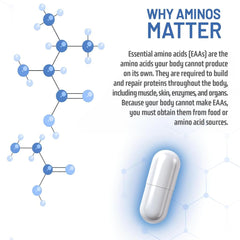 NAUTILUS Muscle Code vegan capsules – dairy-free protein support.