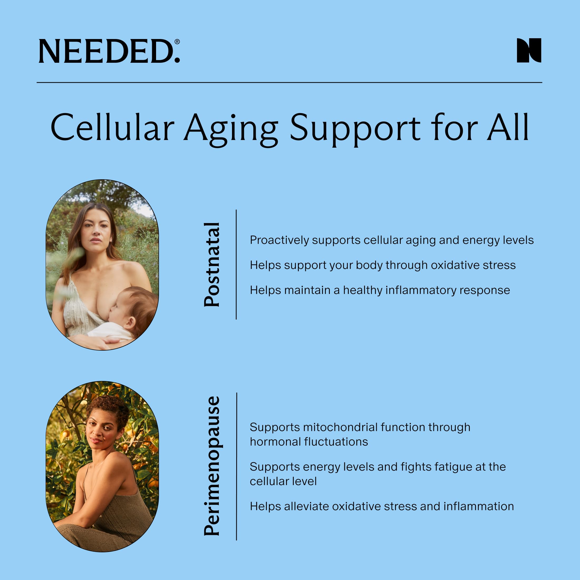 Needed Acetyl L-Carnitine capsules closeup for cellular energy metabolism.