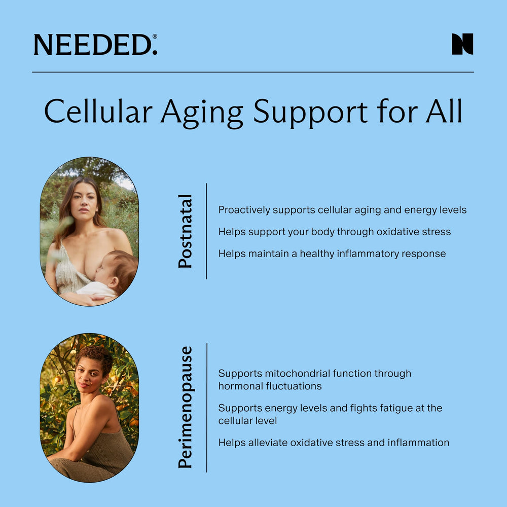 Needed Acetyl L-Carnitine capsules closeup for cellular energy metabolism.
