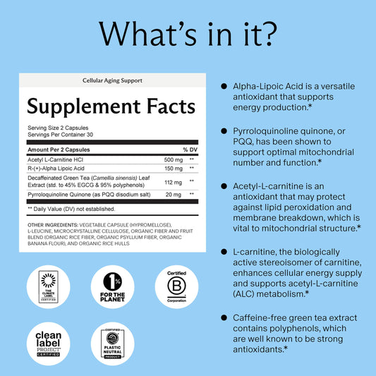 Needed Cellular Aging Support bottle label detail highlighting key ingredients.