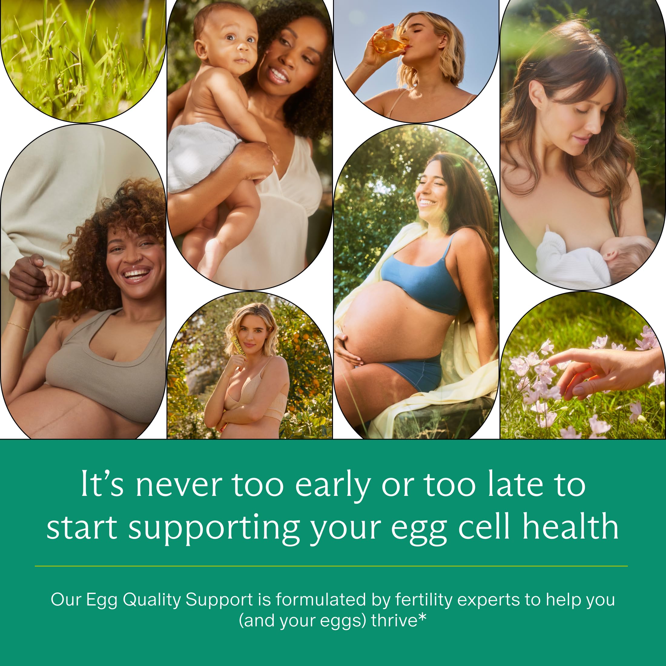 Needed Egg Quality Support packaging box indicates 60 capsules for a 30-day supply.
