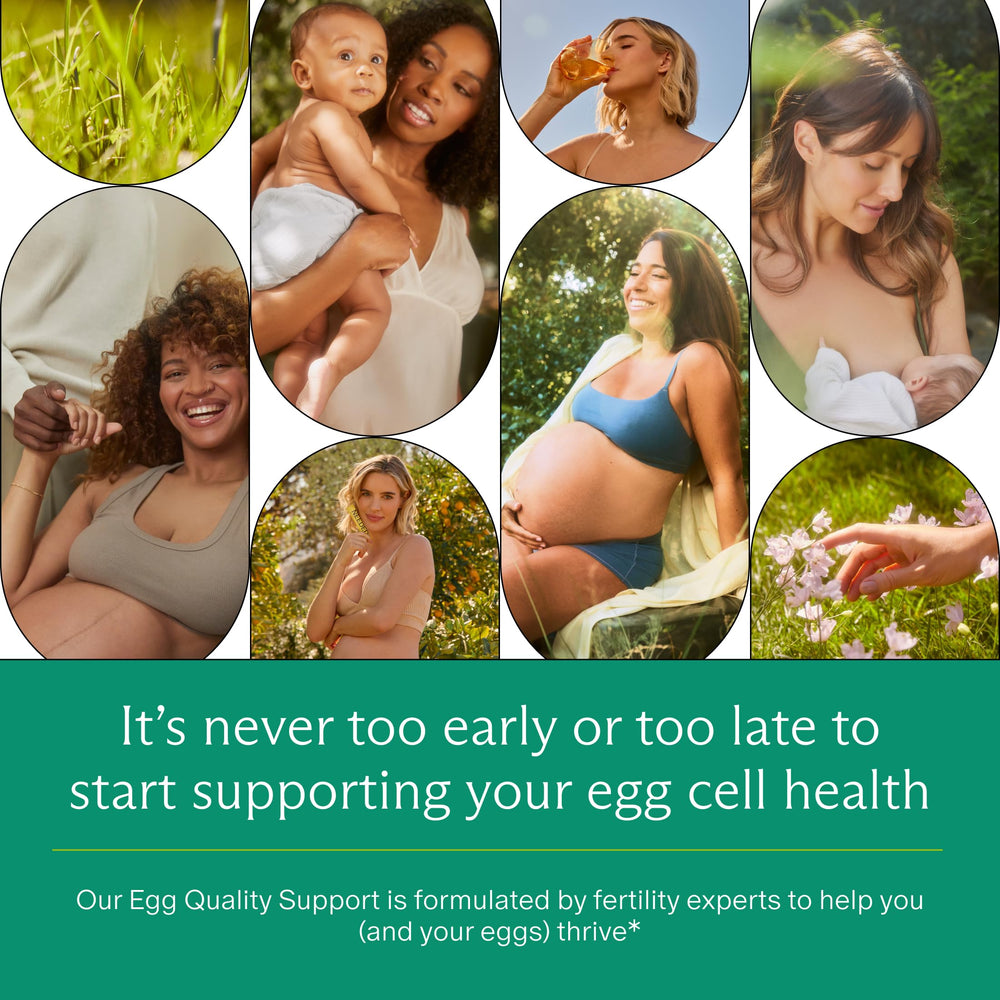Needed Egg Quality Support packaging box indicates 60 capsules for a 30-day supply.