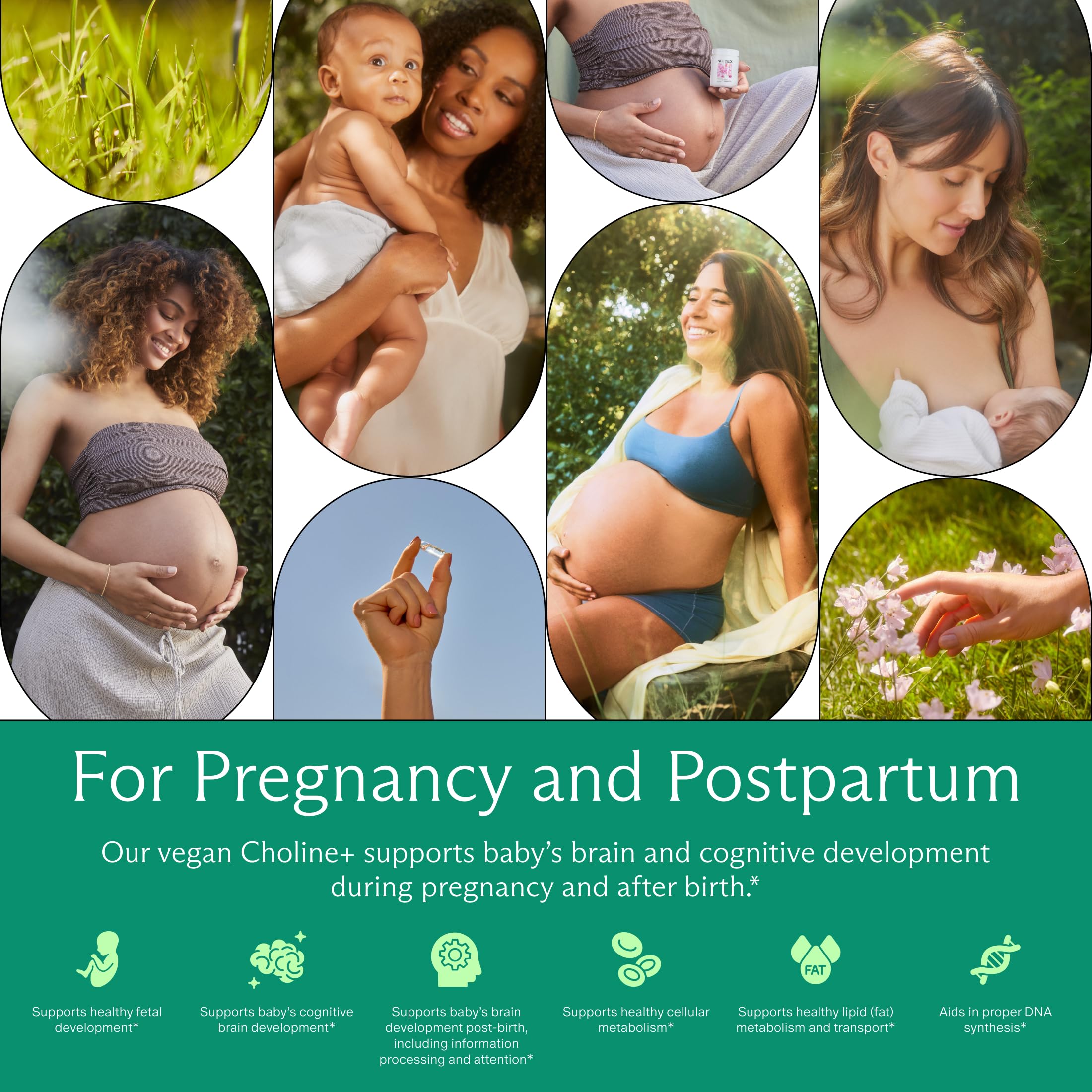 Needed Prenatal Choline+ pour demonstrates easy daily dosing.