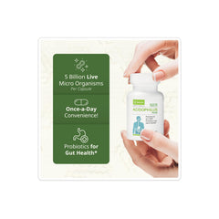 NeoLife Acidophilus Plus ingredients blend with five probiotic strains
