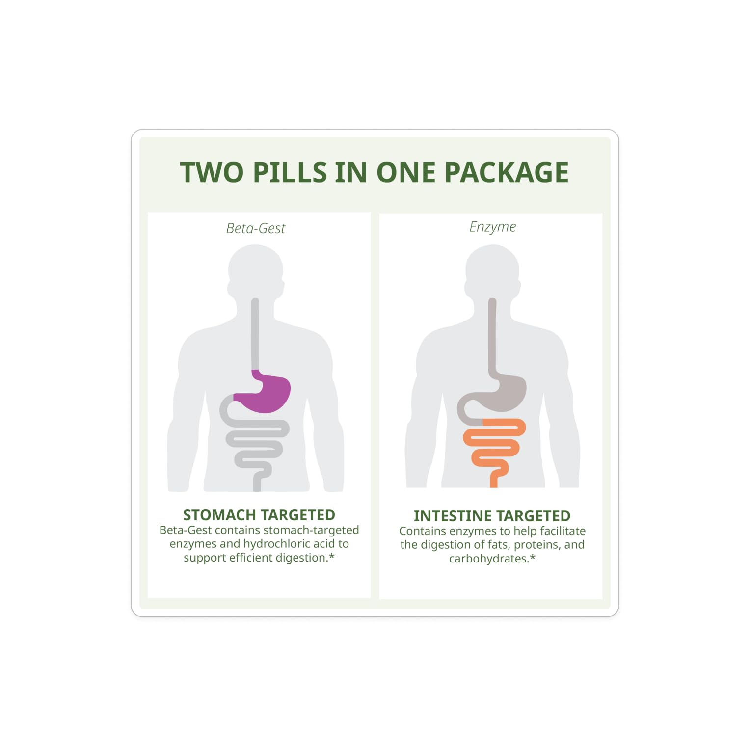 NeoLife Beta-Zyme travel-pack packets for on-the-go meals.