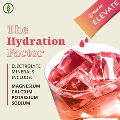 NeoLife Elevate ingredients including L-theanine for balanced energy