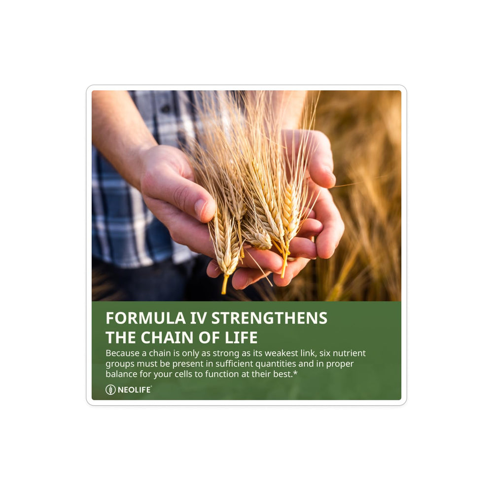 NeoLife Formula IV packaging emphasizes TRE-EN-EN and Phyto Enzyme blends for versatile nutrition.