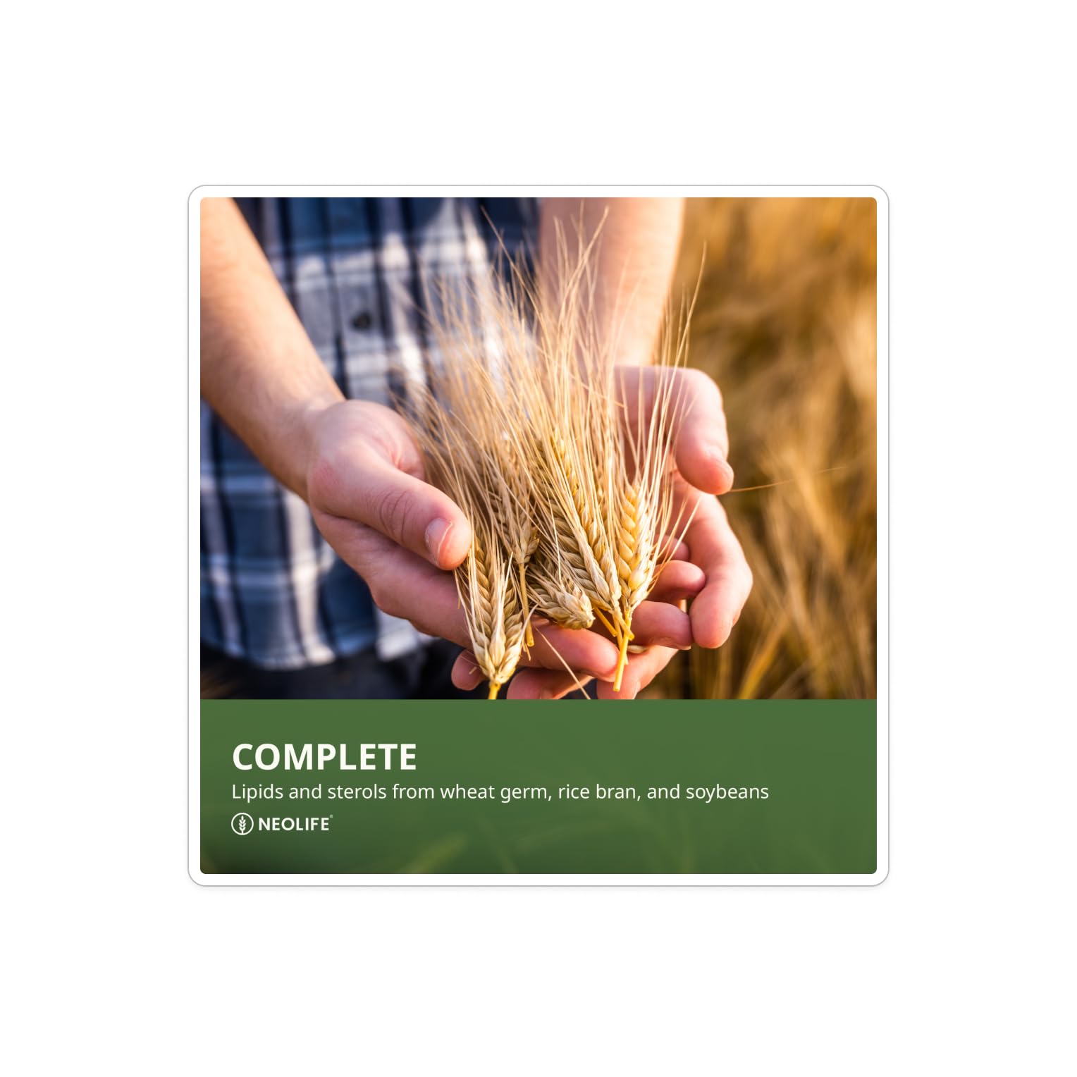 NeoLife TRE-en-en grain concentrates packaging with ingredient highlights