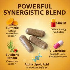 Neonomicon Rynutra turmeric extract highlight for potential nerve comfort