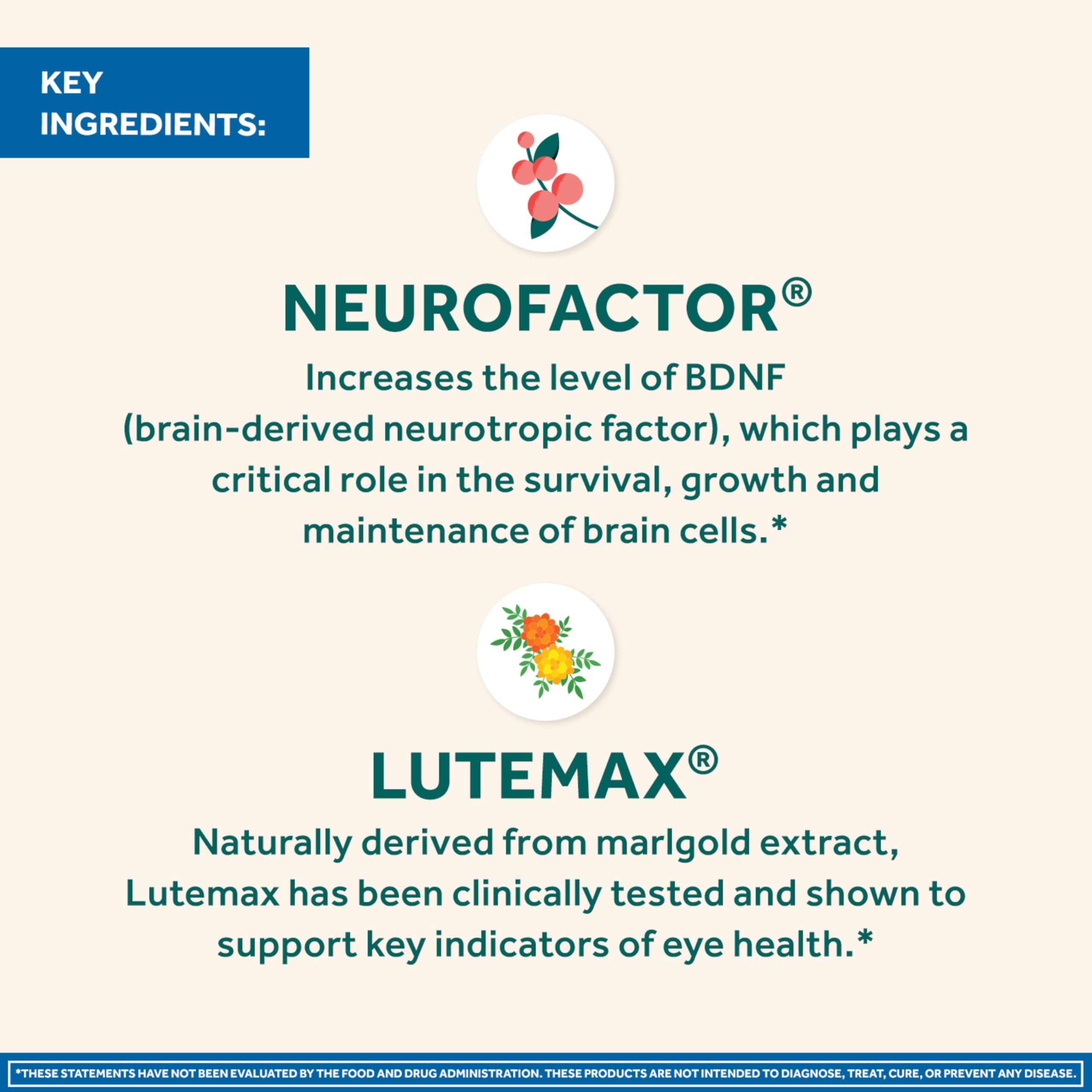 NEURIVA Neurofactor coffee cherry extract icon indicating brain support potential.