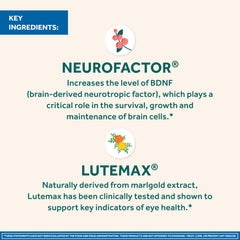 NEURIVA Neurofactor coffee cherry extract icon indicating brain support potential.