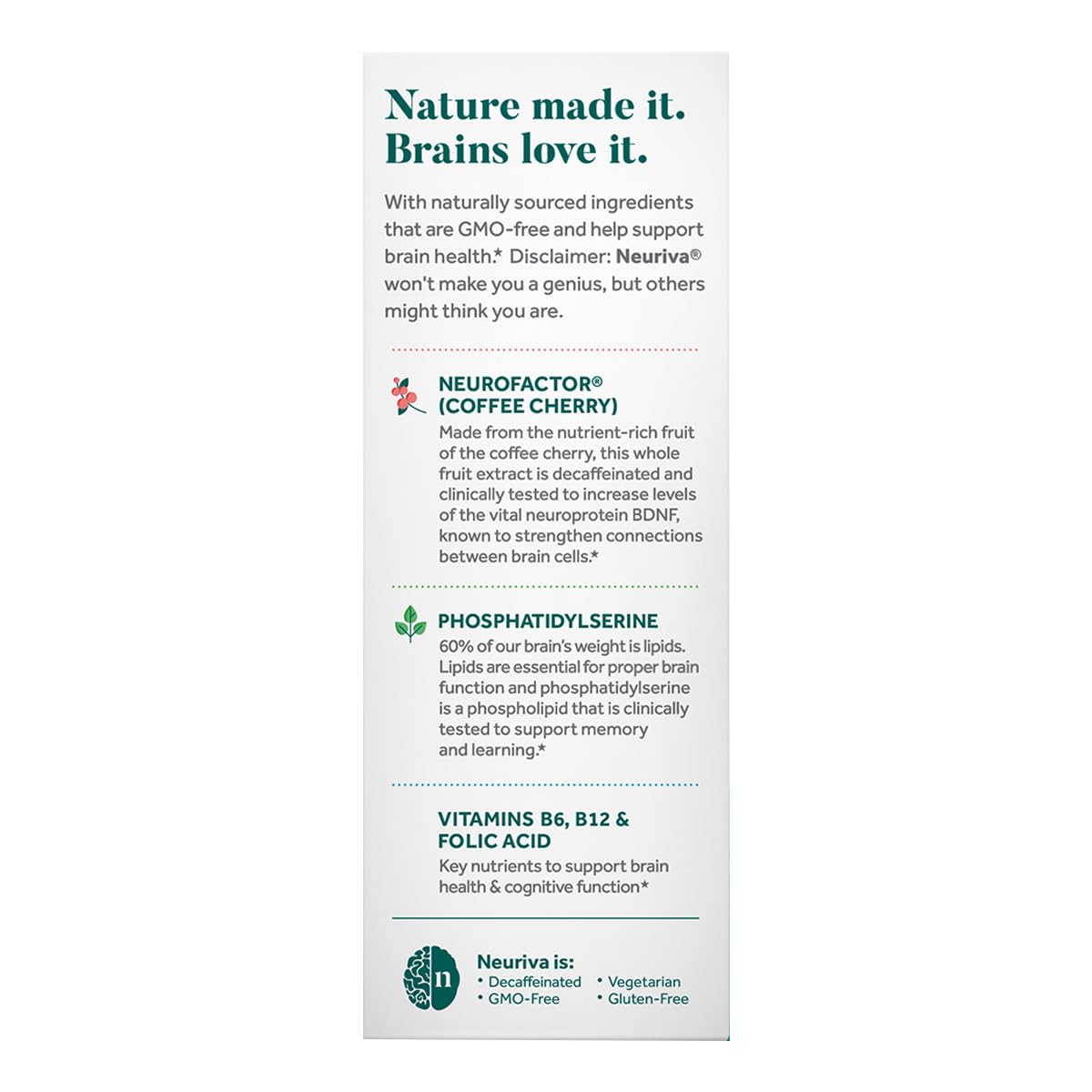 NEURIVA Plus illustration of coffee cherry extract blueprint highlights Neurofactor benefits.