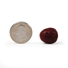 NEURIVA Plus gummies texture close-up emphasizing chewable ease.